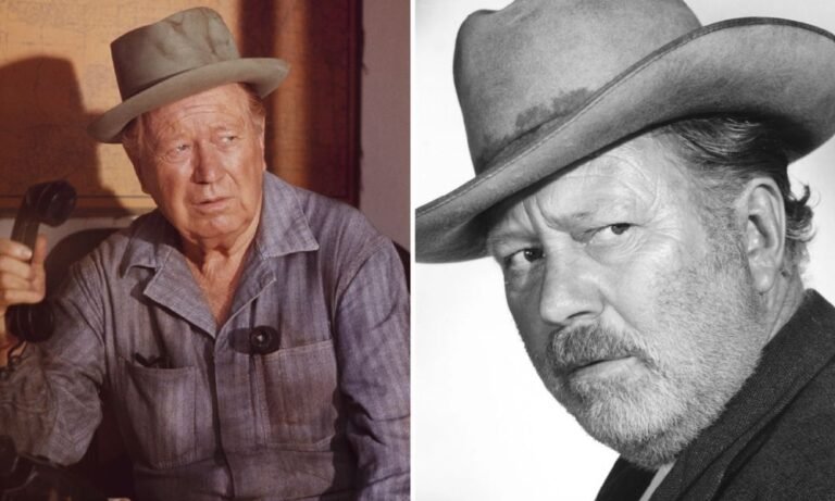 Edgar Buchanan Net Worth: Movies, TV Success, and Earnings Edgar Buchanan Net Worth: Movies, TV Success, and Earnings